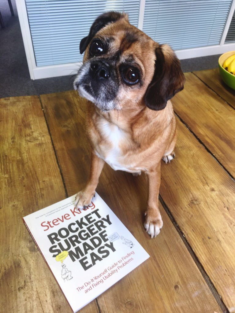 Marley sitting on the Helpful kitchen table with his paw on a book called 'Rocket Science Made Easy'